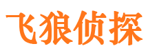 仓山市私家侦探